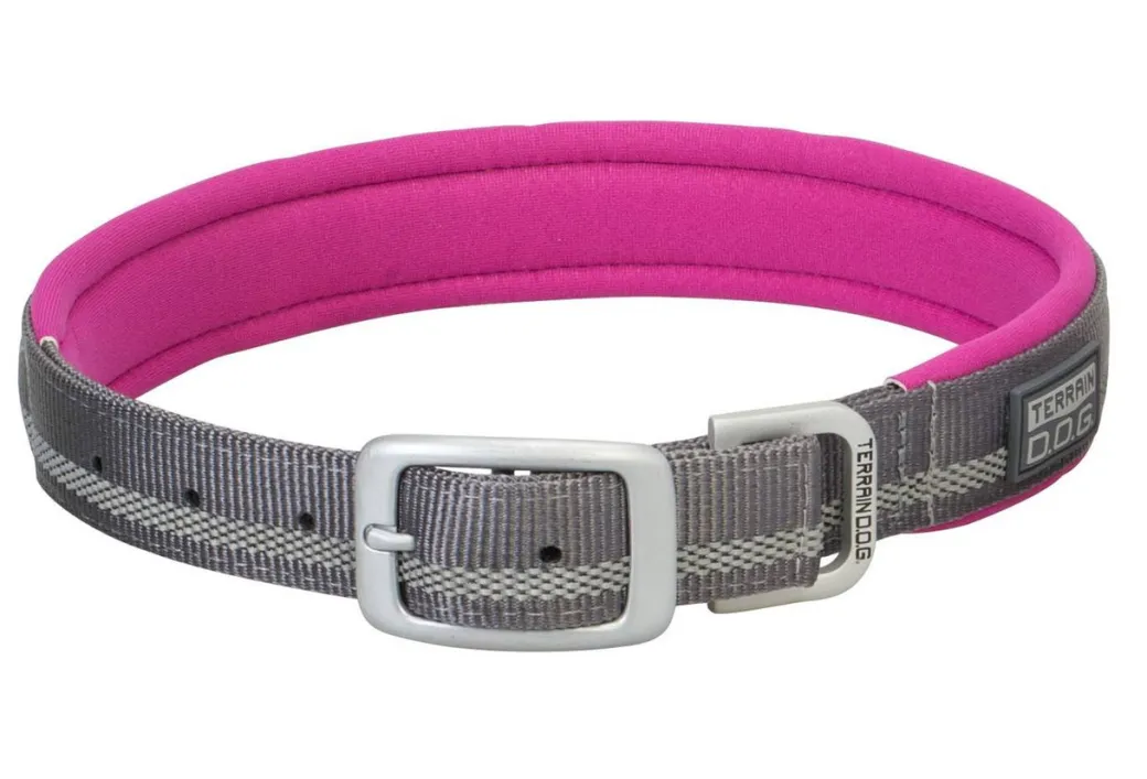 Terrain DOG Reflective Neoprene Lined Collar 1"