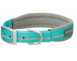 Terrain DOG Reflective Neoprene Lined Collar 3/4"