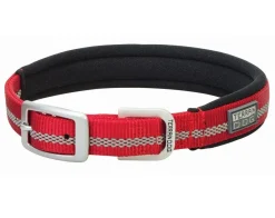 Terrain DOG Reflective Neoprene Lined Collar 3/4