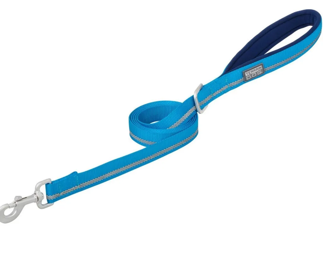 Terrain DOG Reflective Nylon Leash - 1" x 4 ft