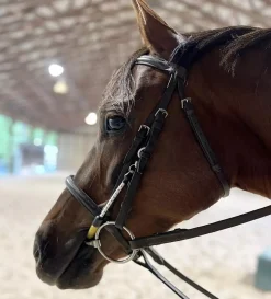 ThinLine Bridle Busy Buddy
