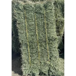 Timothy Hay Bale