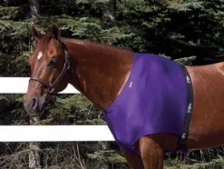 Toklat Jammies Shoulder Guards - Solid