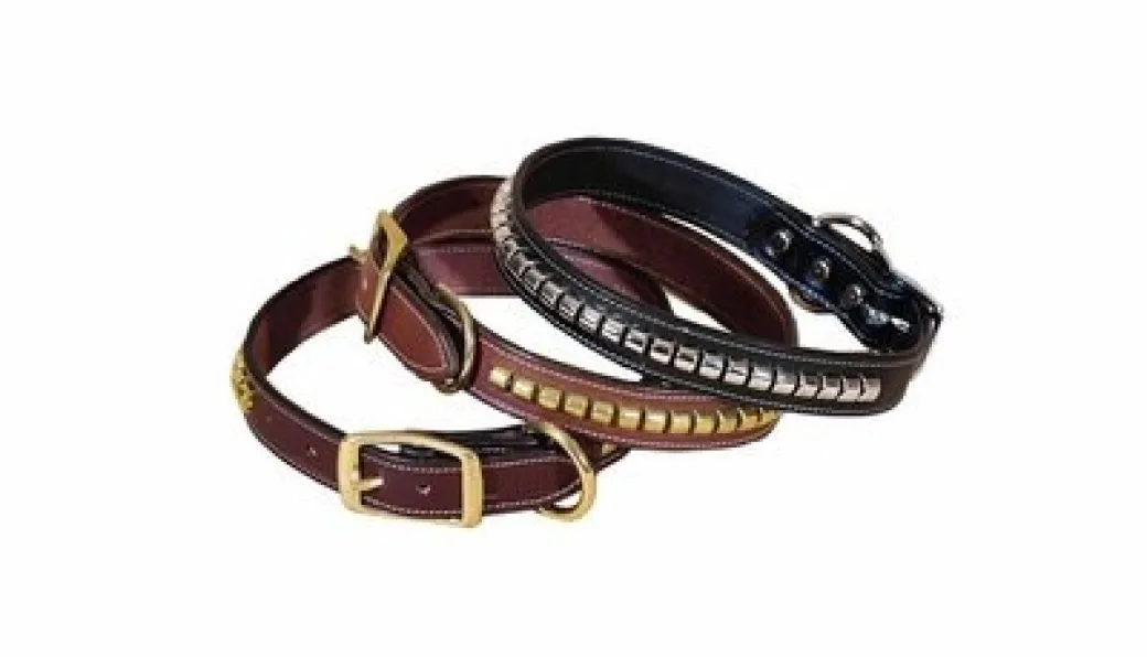 Tory Leather Clincher Dog Collar
