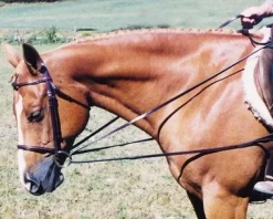 Tory Leather Draw Reins with Loop End