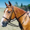 Tory Leather Draw Reins with Snap End