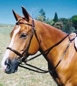 Tory Leather Draw Reins with Snap End
