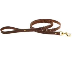 Tory Leather Laced Rein Leather Leash