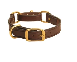 Tory Leather Martingale Correction Collar