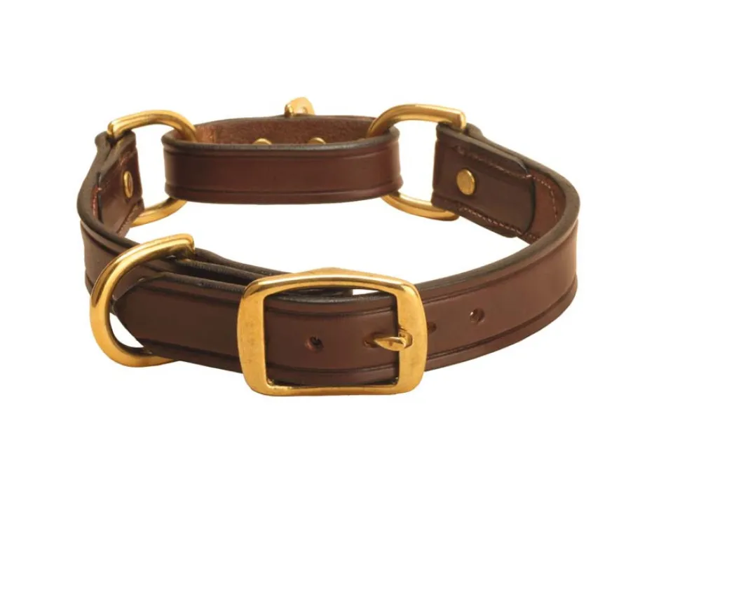 Tory Leather Martingale Correction Collar