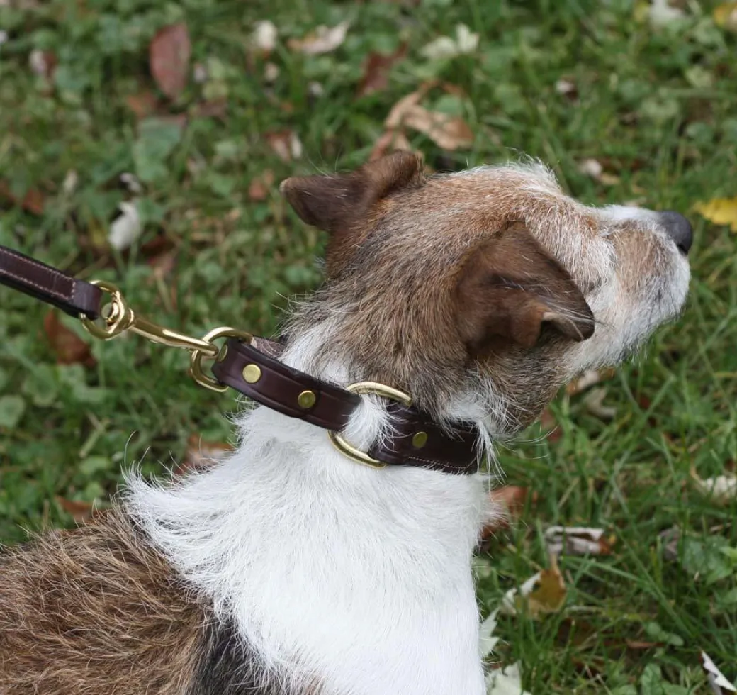 Tory Leather Martingale Correction Collar