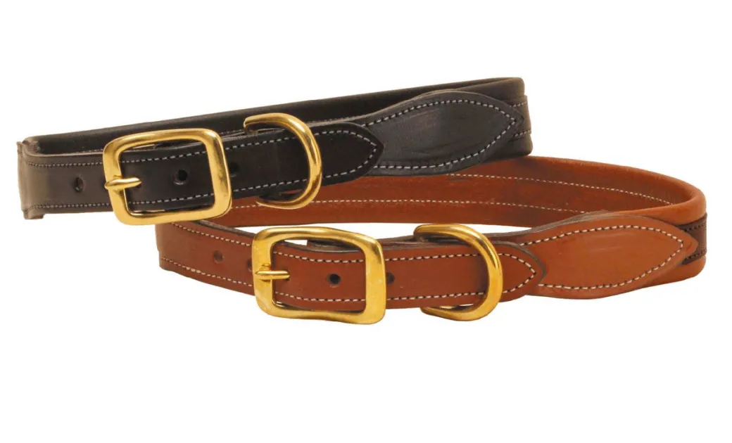 Tory Leather Overlay Padded Dog Collar