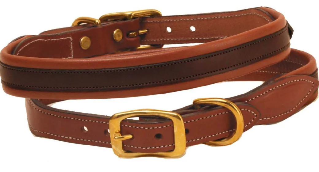 Tory Leather Overlay Padded Dog Collar