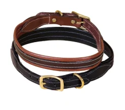 Tory Leather Overlay Padded Dog Collar