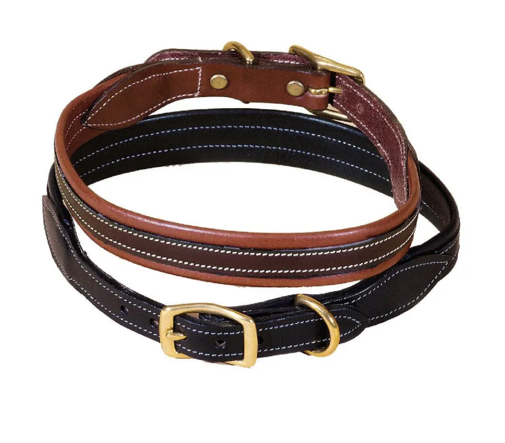 Tory Leather Overlay Padded Dog Collar