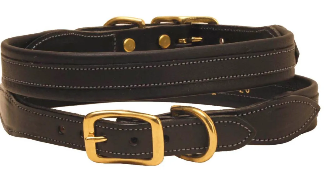 Tory Leather Overlay Padded Dog Collar