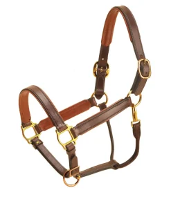 Tory Leather Padded Halter with Brass Hardware