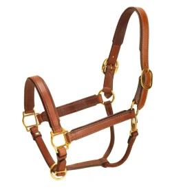 Tory Leather Padded Halter with Brass Hardware