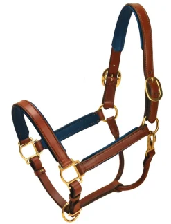 Tory Leather Padded Halter with Brass Hardware