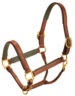 Tory Leather Padded Halter with Brass Hardware