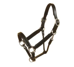 Tory Leather Padded Halter with Nickel Hardware