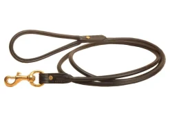 Tory Leather Rolled Bridle Leather Leash - 6 FT
