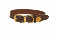 Tory Leather Shot Shell Leather Dog Collar