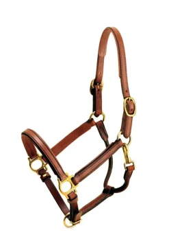 Tory 3/4" Padded Leather Halter - Cob
