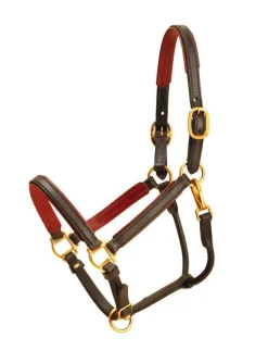 Tory 3/4" Padded Leather Halter - Cob