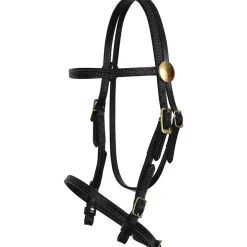 Tucker Heritage River Plantation Headstall