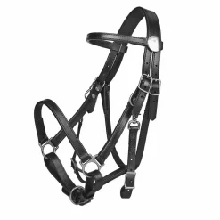 Tucker Standard Halter Bridle