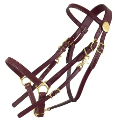 Tucker Standard Halter Bridle