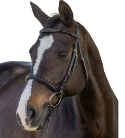 Vespucci New Classic Dressage Bridle