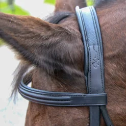 Vespucci New Classic Dressage Bridle