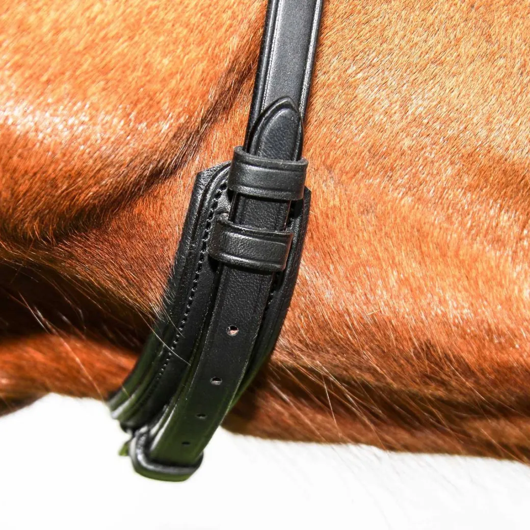 Vespucci New Classic Dressage Bridle