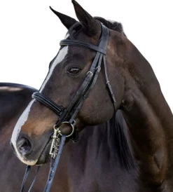 Vespucci New Double Raised Weymouth Bridle
