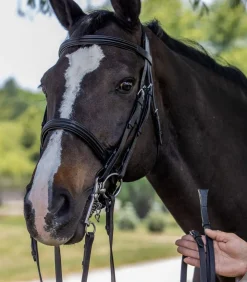 Vespucci New Double Raised Weymouth Bridle