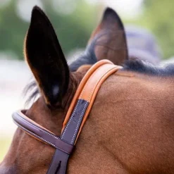 Vespucci New Fancy Raised Hunter Bridle