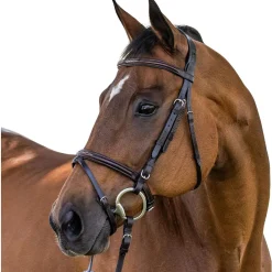 Vespucci New Fancy Raised Jump Bridle