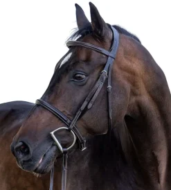 Vespucci New Plain Raised Hunter Bridle