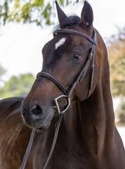 Vespucci New Plain Raised Hunter Bridle