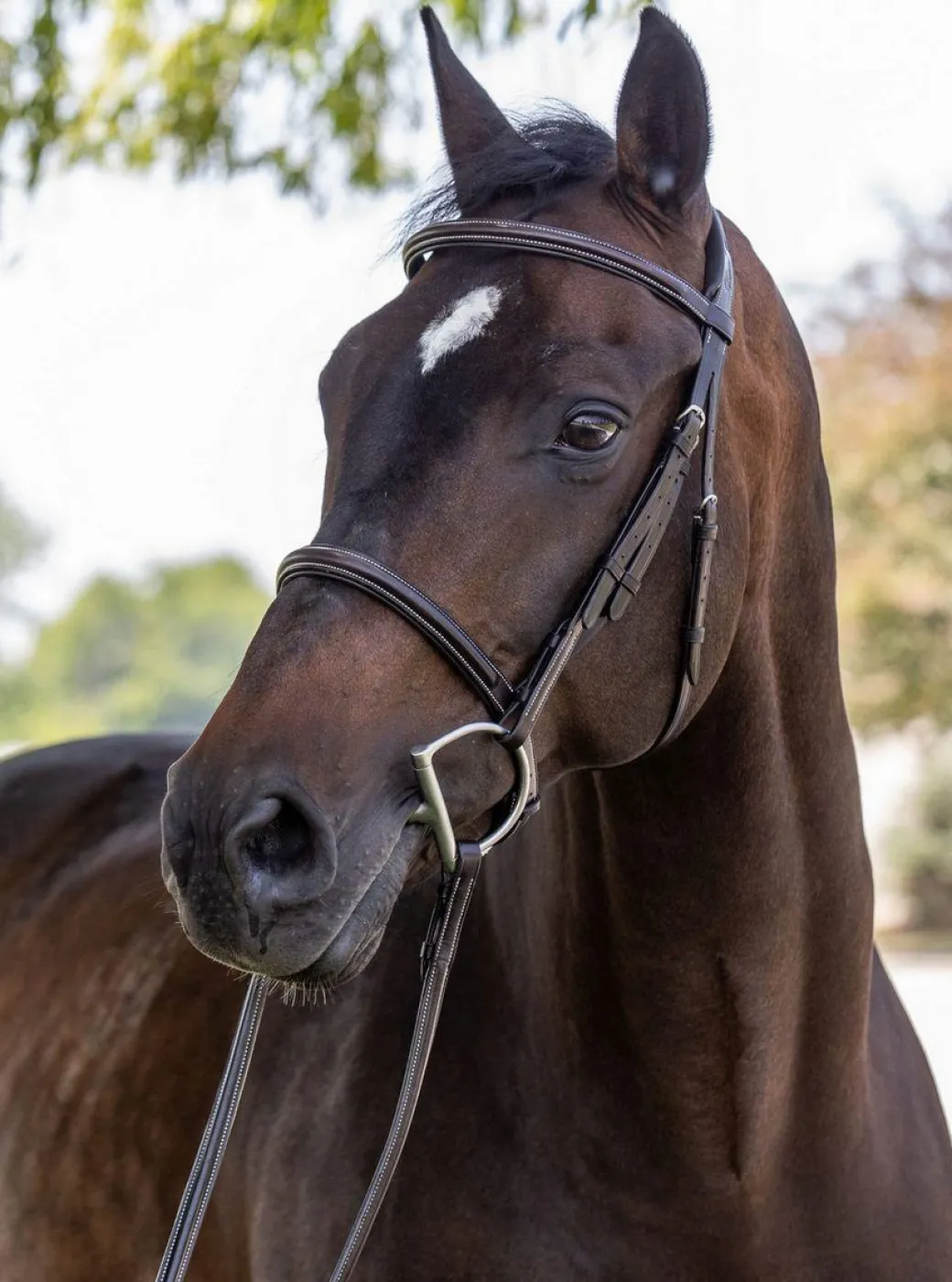 Vespucci New Plain Raised Hunter Bridle