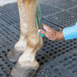 Vetericyn Mobility Liniment
