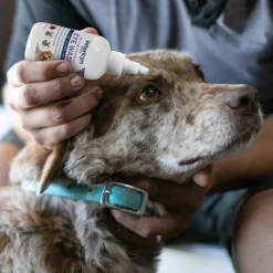 Vetericyn Plus Antimicrobial Eye Care Kit