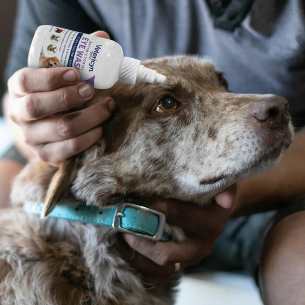 Vetericyn Plus Antimicrobial Eye Care Kit