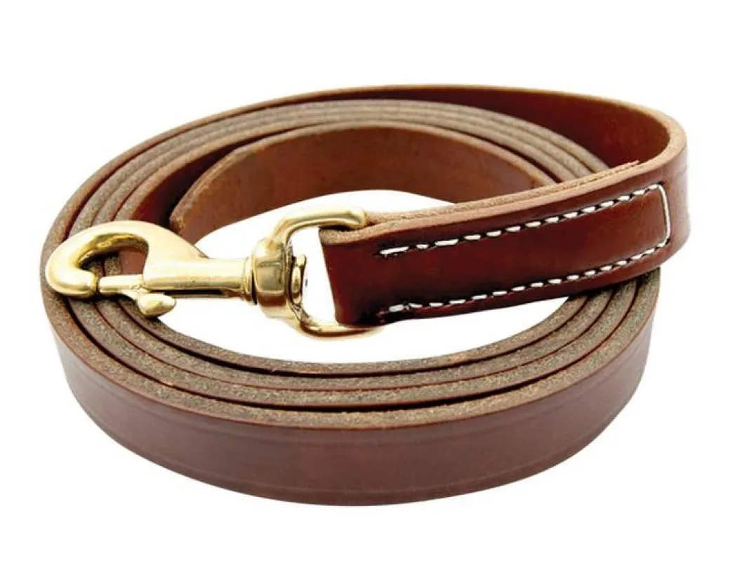 Walsh Leather Lead with Snap