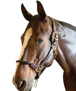 Walsh Rope Nose British Halter
