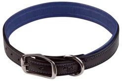 Walsh Signature Dog Collar