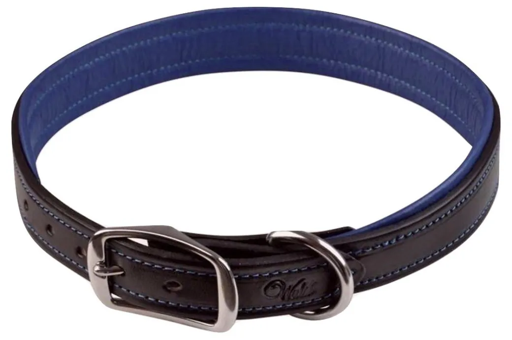 Walsh Signature Dog Collar