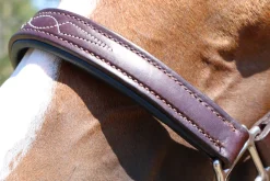 Walsh Signature Padded Halter